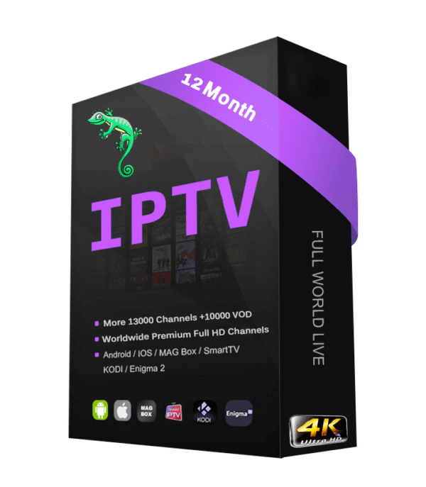 12 Months Digitalizard 1 Connection