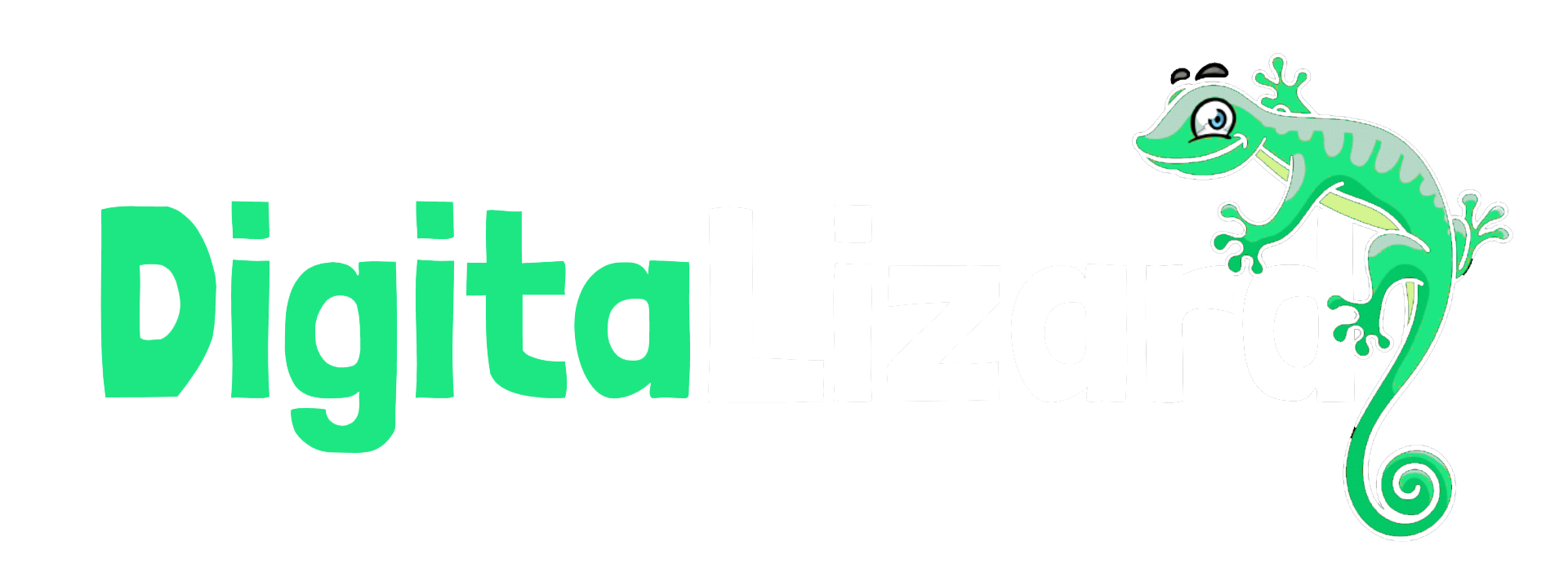 digitalizard
